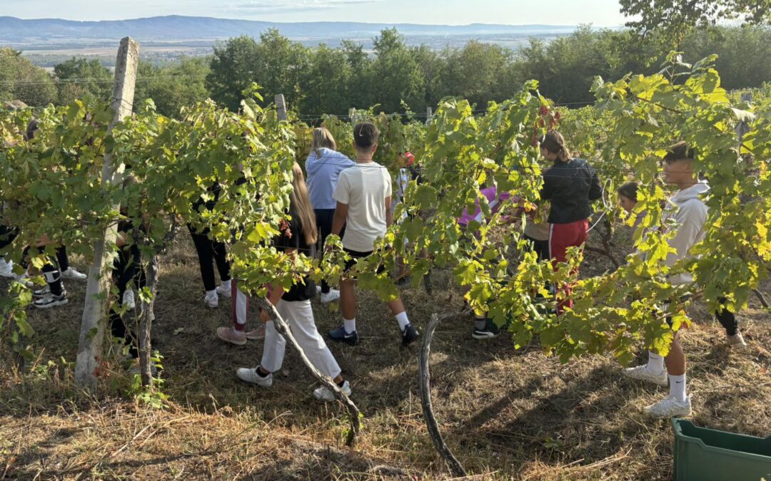 Jučer su nas posjetili veseli učenici sedmih razreda OŠ Dobriše Cesarića i njihove razrednice