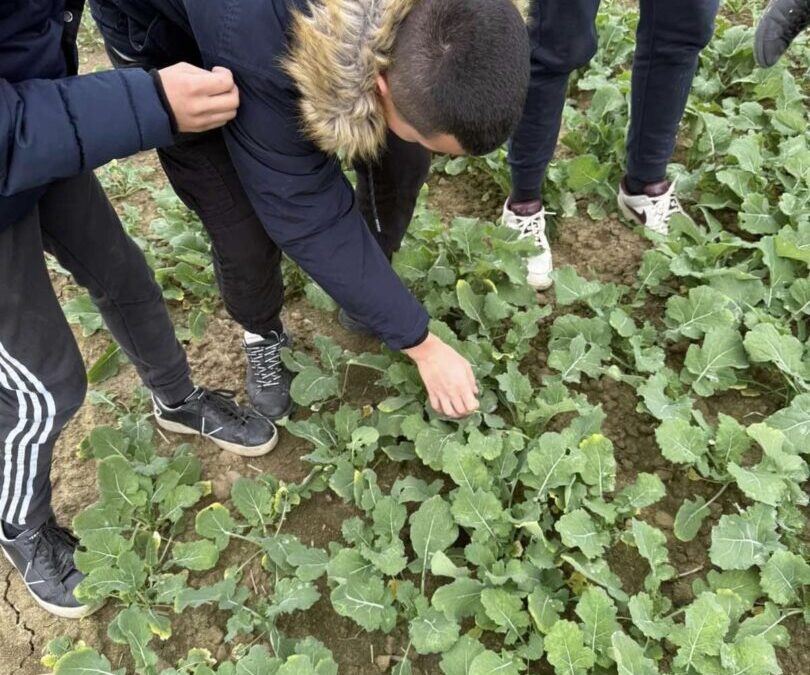 “Od analize do žetve” projekt je čije se aktivnosti odvijaju u Kutjevu d. d.