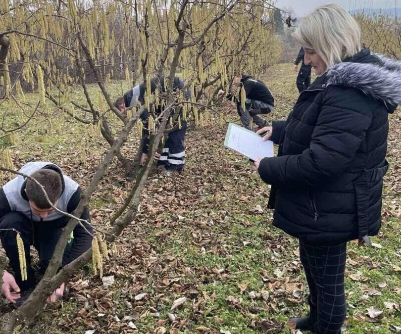 Natjecanje učenika u rezidbi lijeske