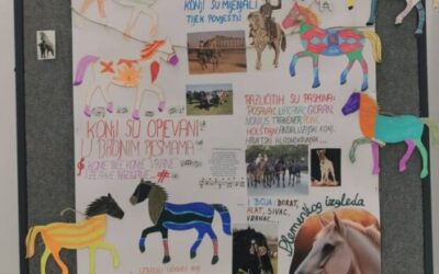 I konji imaju svoj dan!