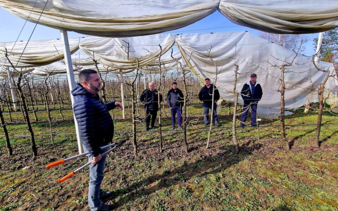Međužupanijska radionica “Škola rezidbe”