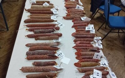 Veliki uspjeh naših učenika!