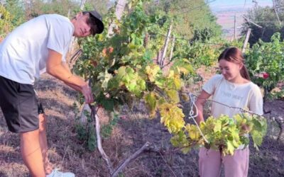 Zajedničkim snagama u školskom vinogradu!️