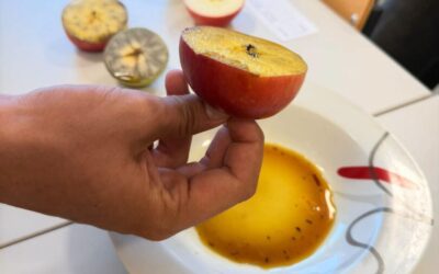 Predstavljamo novi projekt: „AgroInovacija: Tehnologija modernog uzgoja jabuka”!
