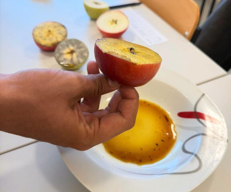 Predstavljamo novi projekt: „AgroInovacija: Tehnologija modernog uzgoja jabuka”!